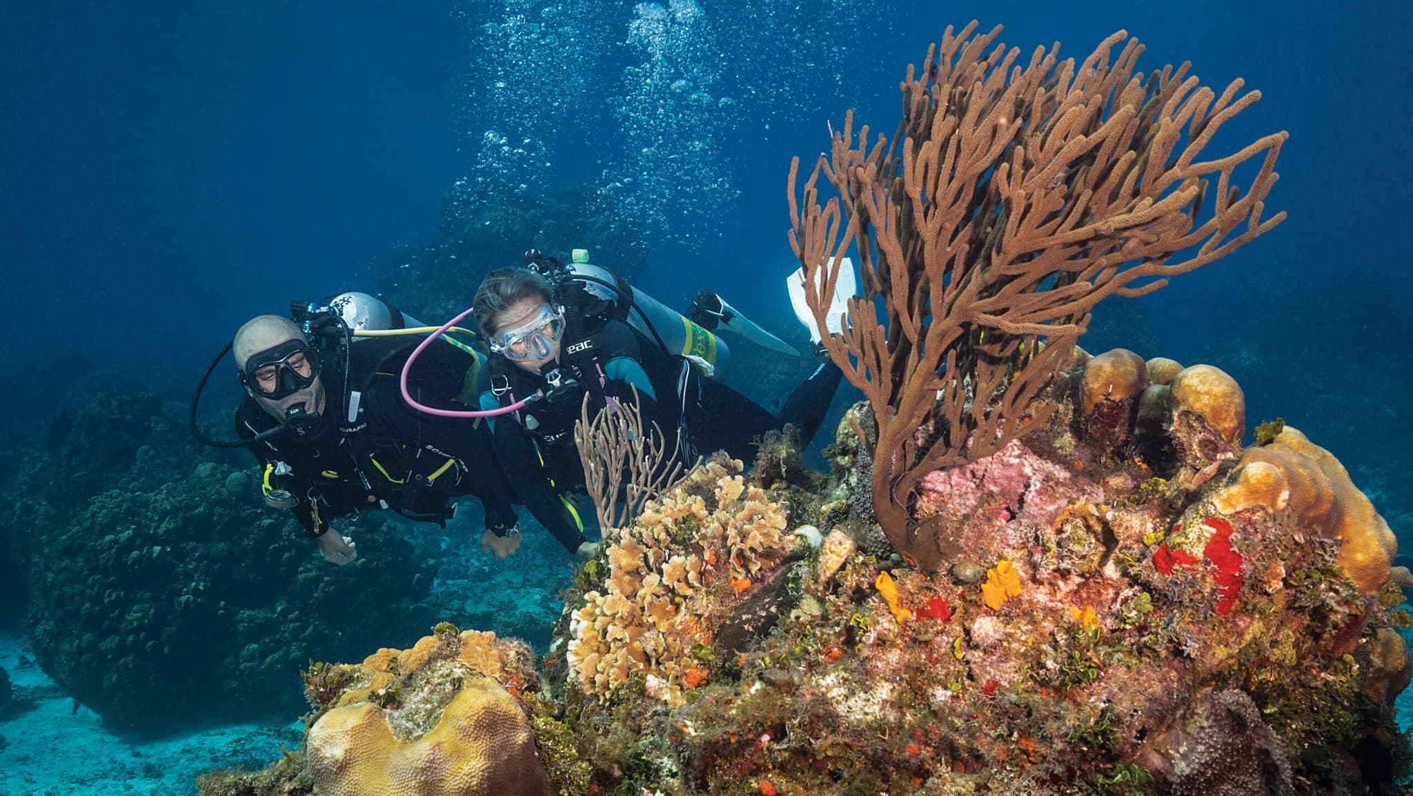 Cozumel: diving