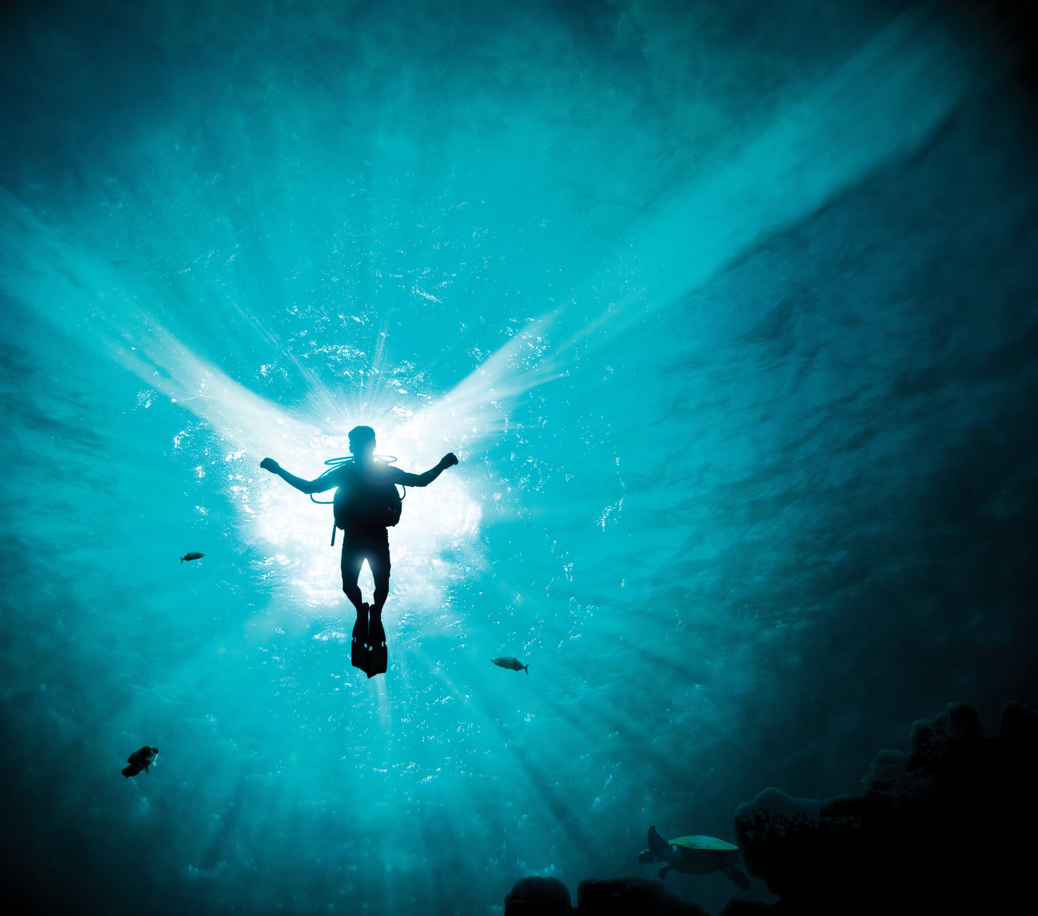 Cozumel: diving