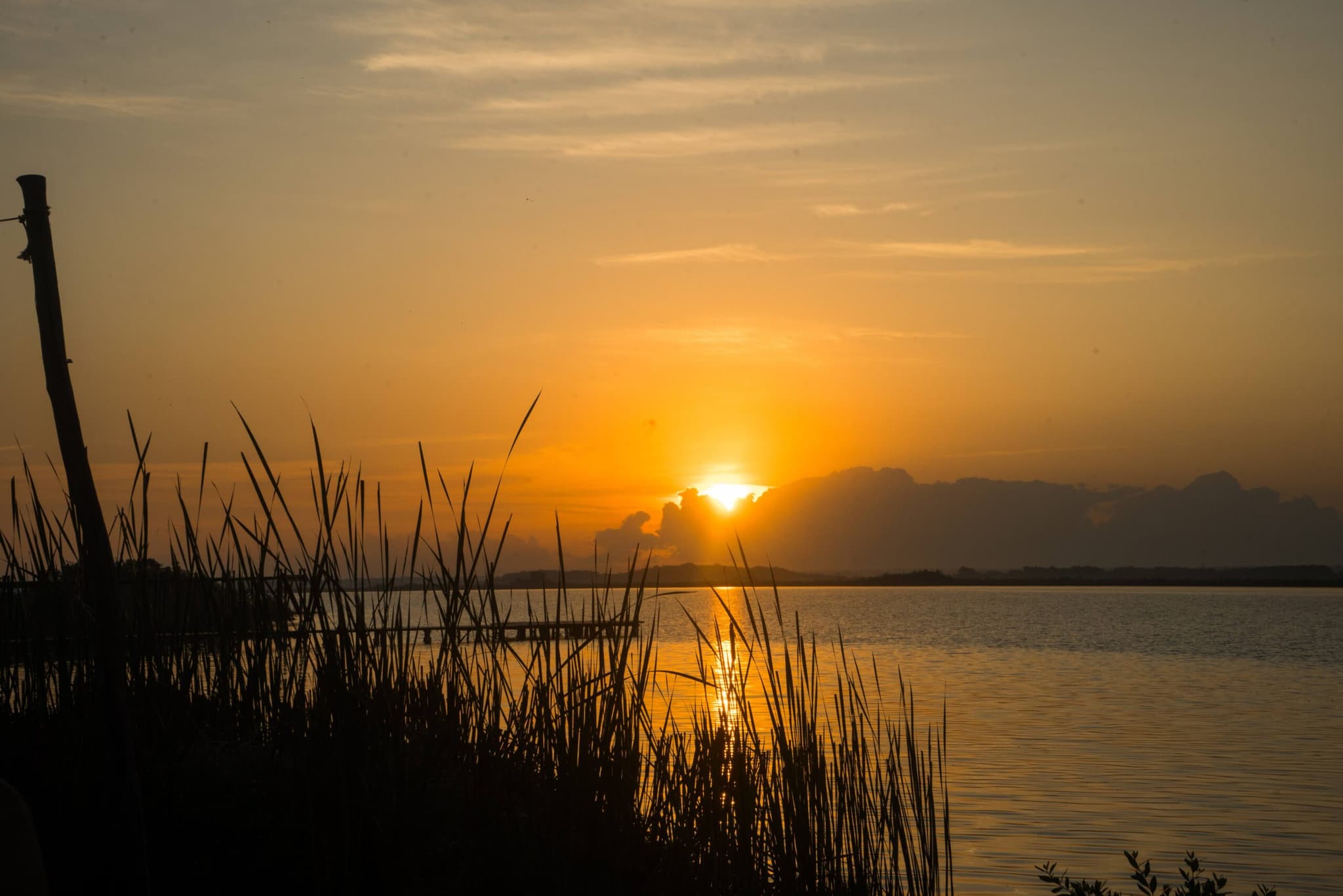 Bacalar