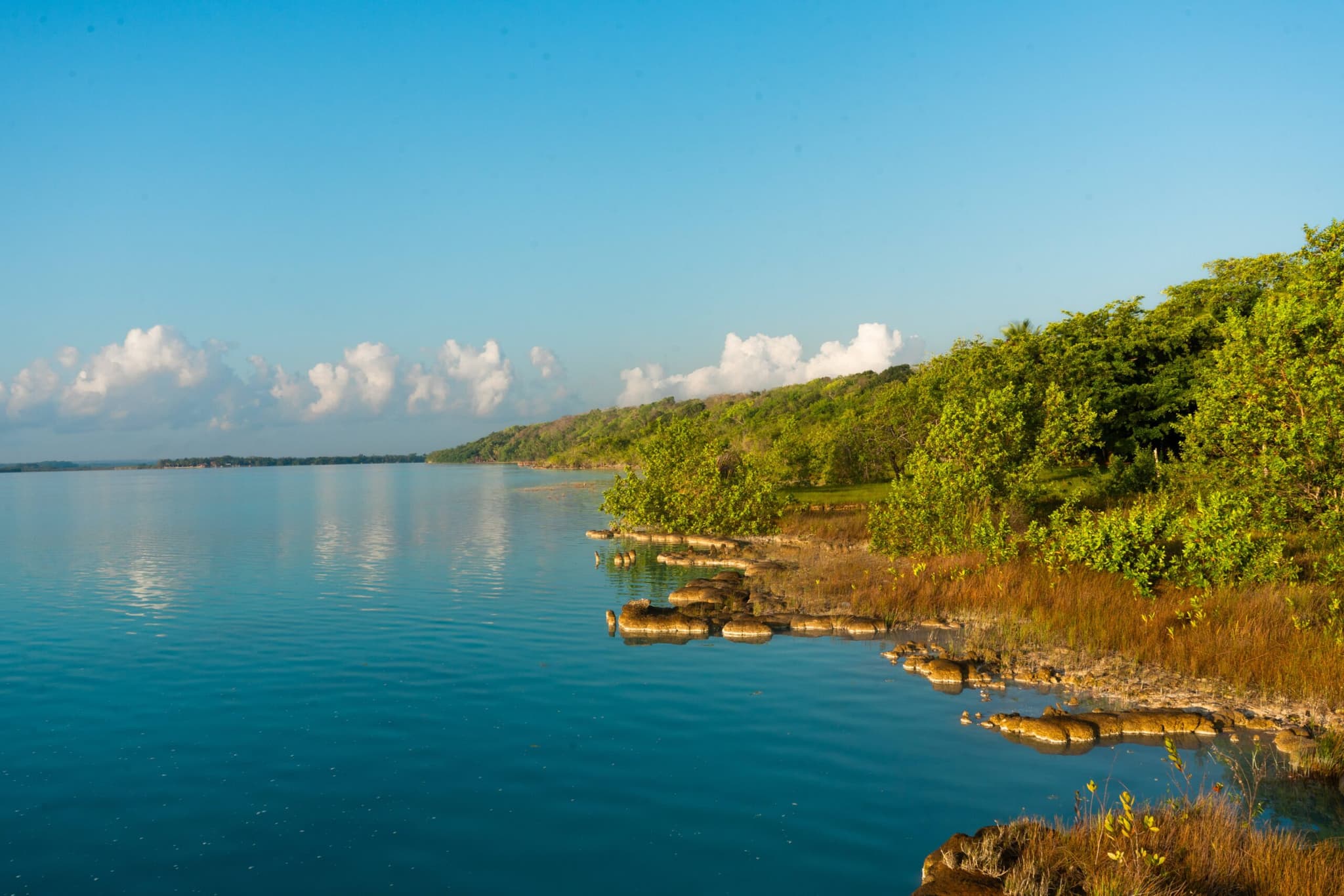 Bacalar