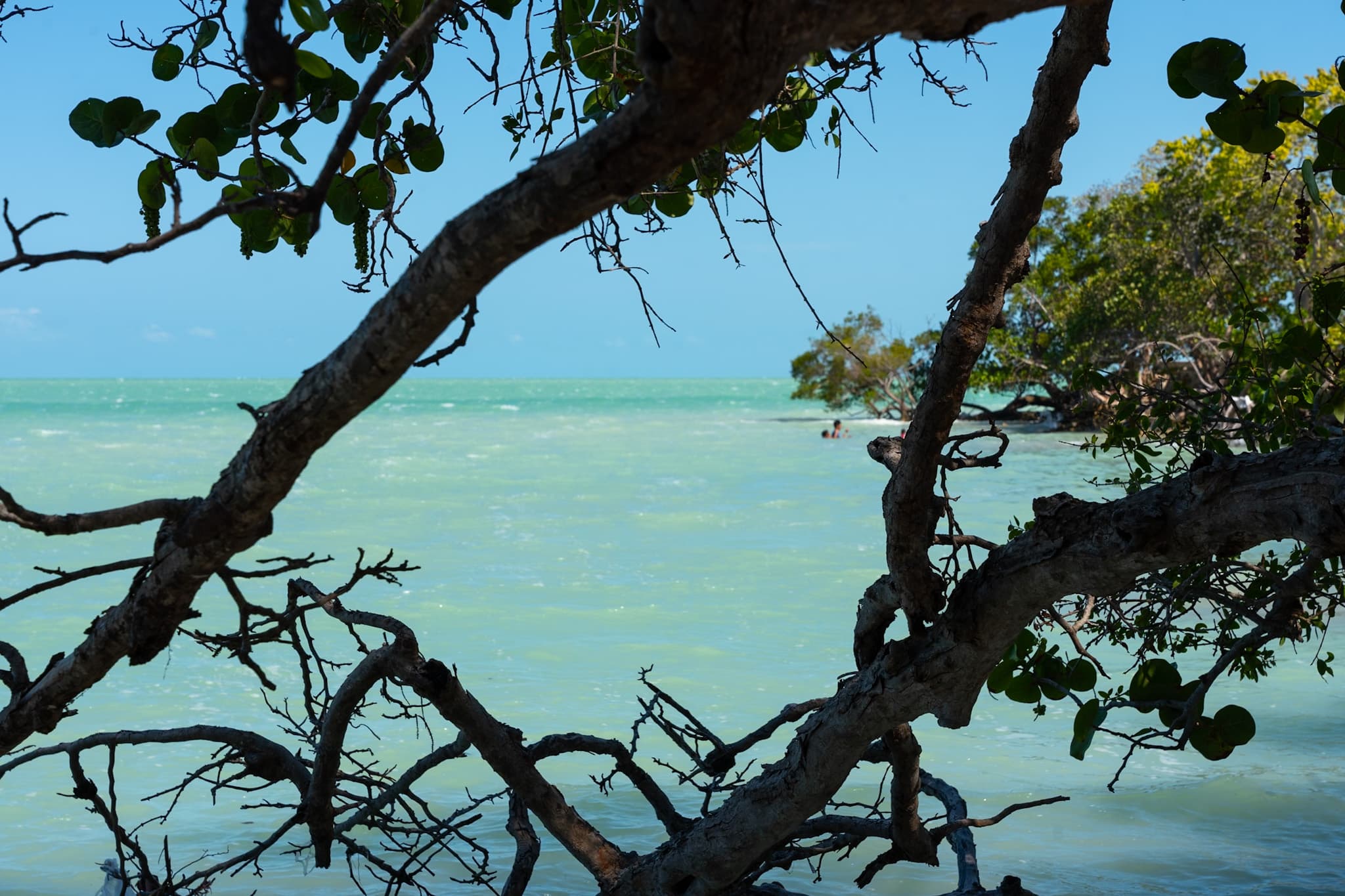Chetumal