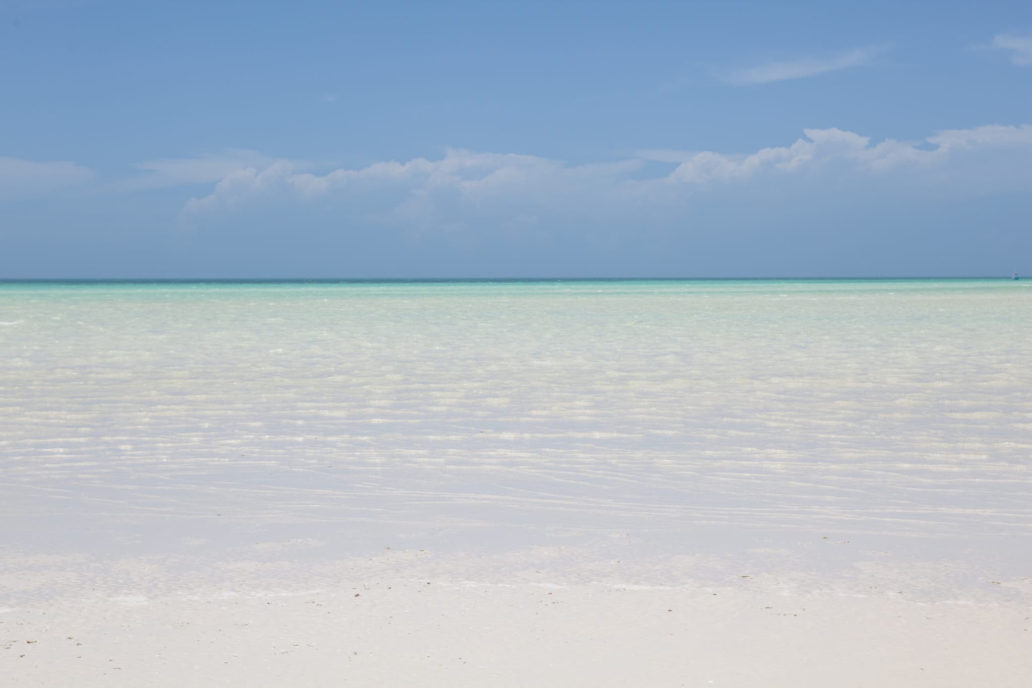 Holbox