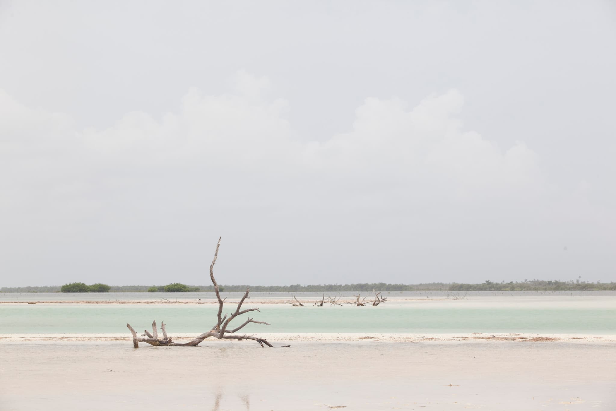 Holbox