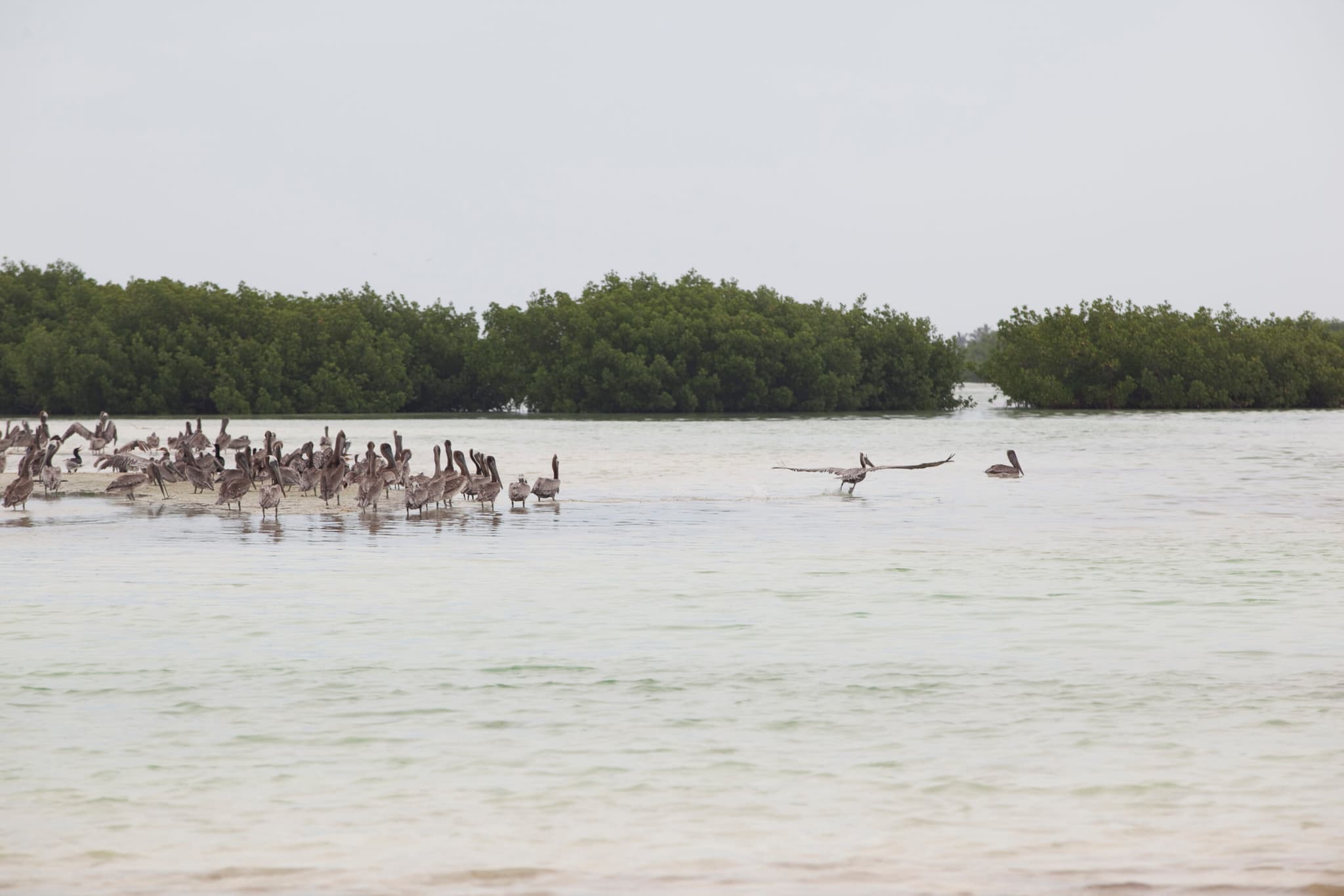 Holbox