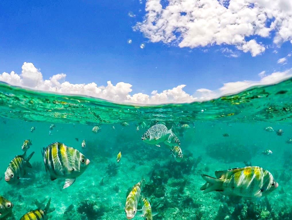 Playa del Carmen: Maroma beach