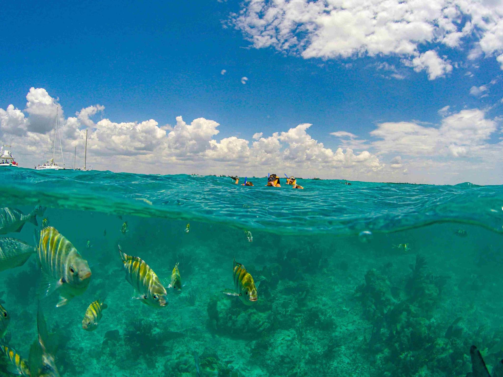 Playa del Carmen: Maroma beach