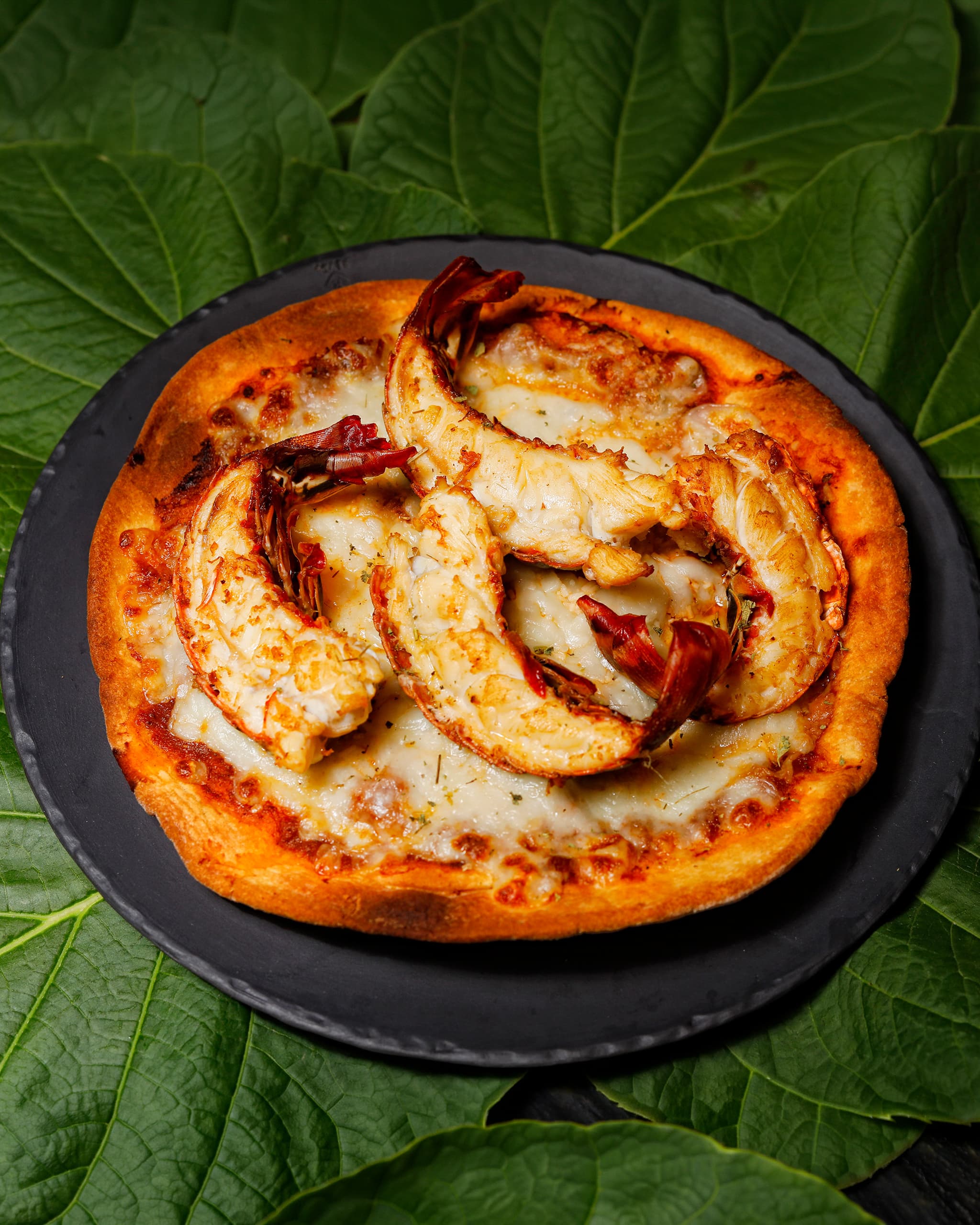 Lobster pizza served on slate, among green leaves