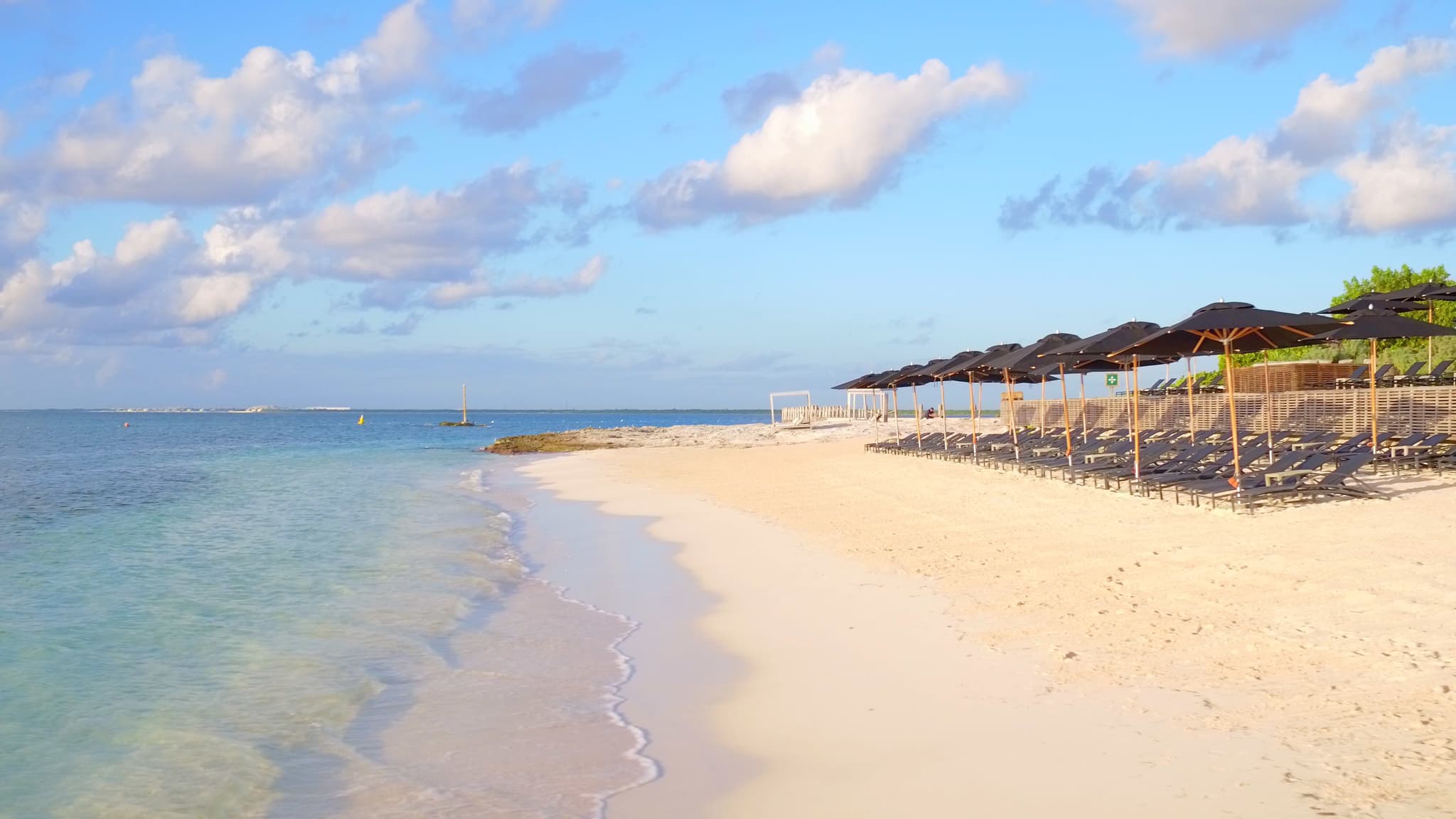 Loungers and dark parasols on the beach at sunrise