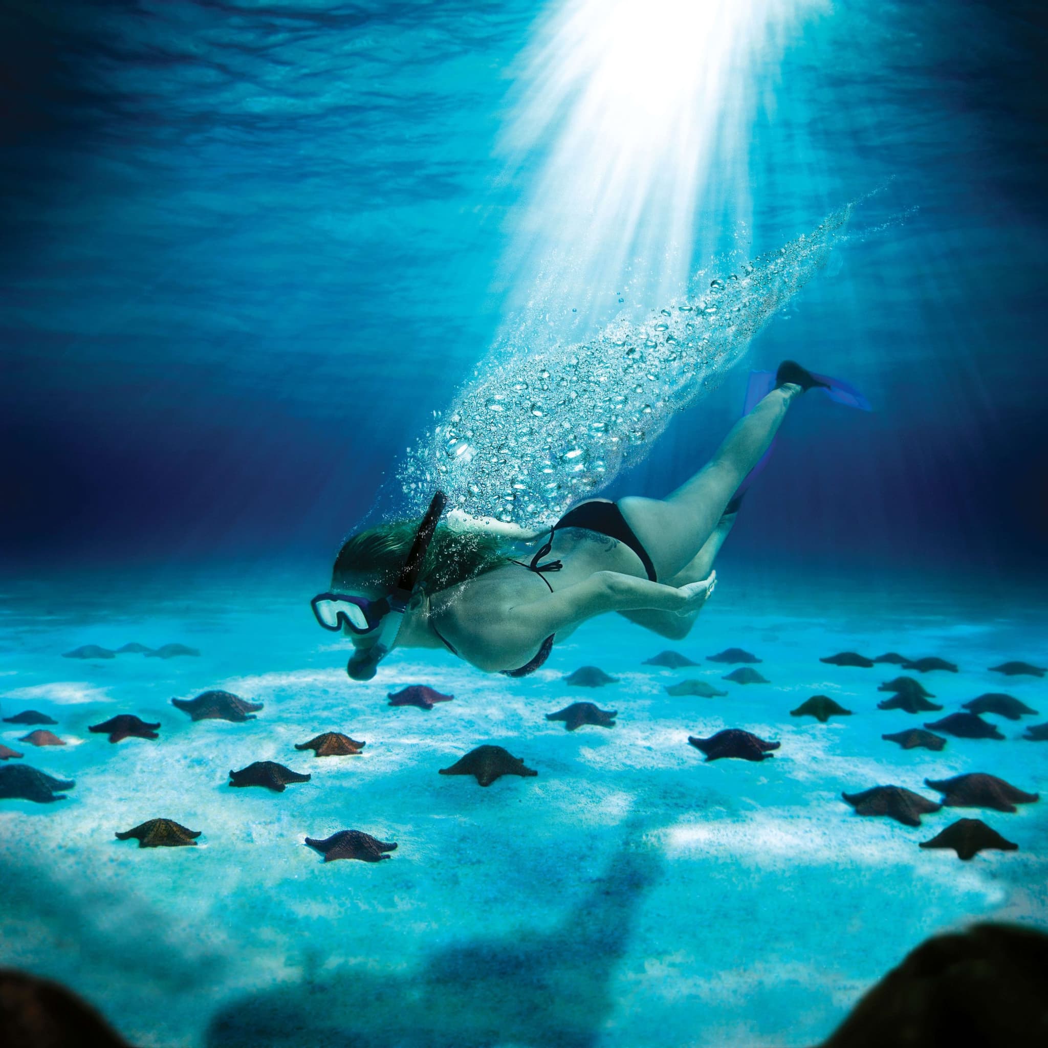 Diver above a school of rays in Cozumel