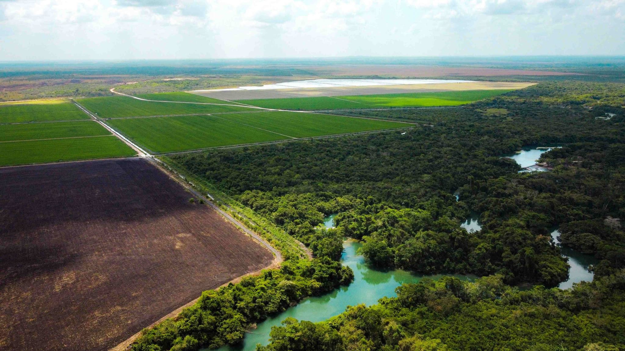 Aerial view of the jungle and rivers of southern Quintana Roo