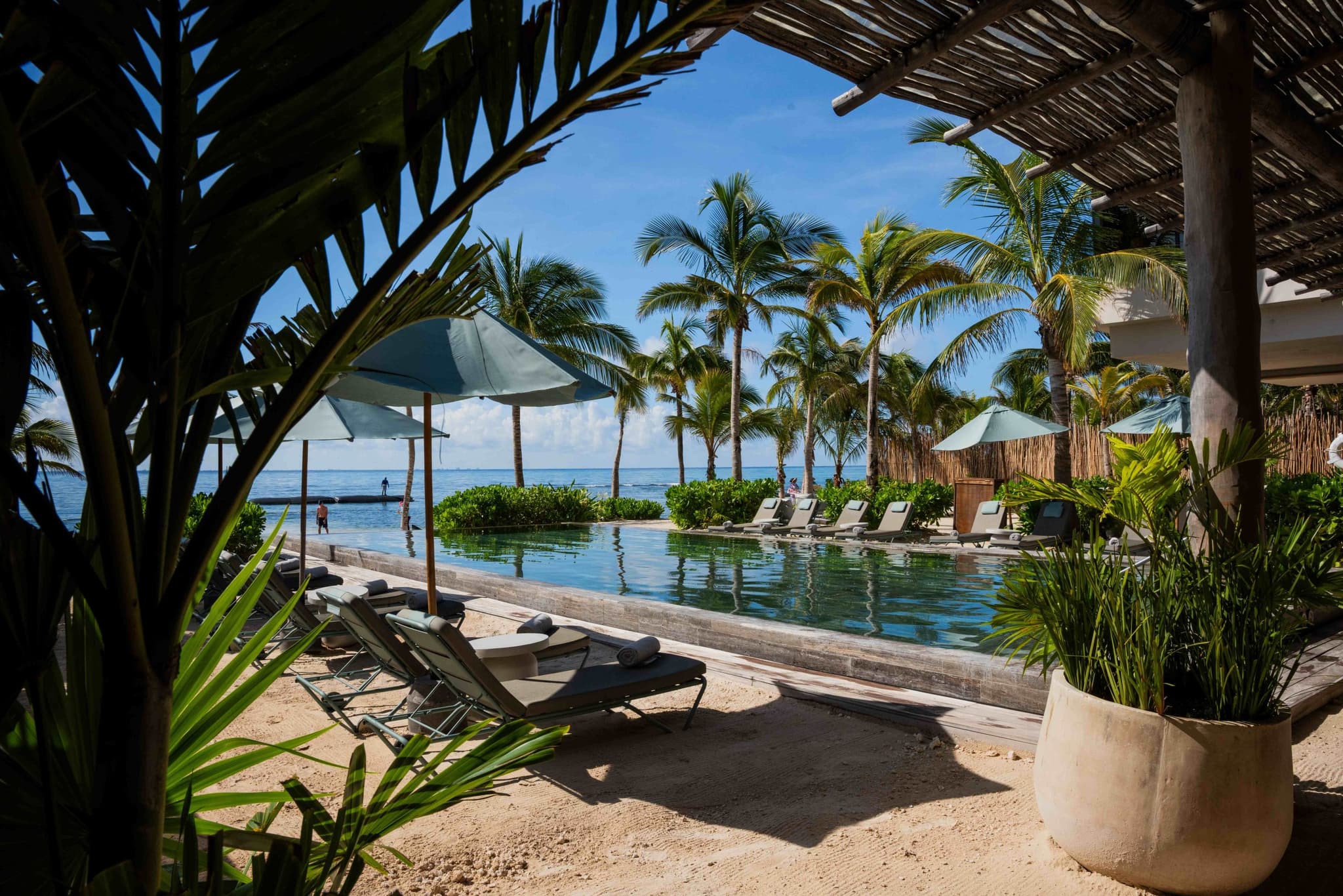 Pool among palms seen from the shade