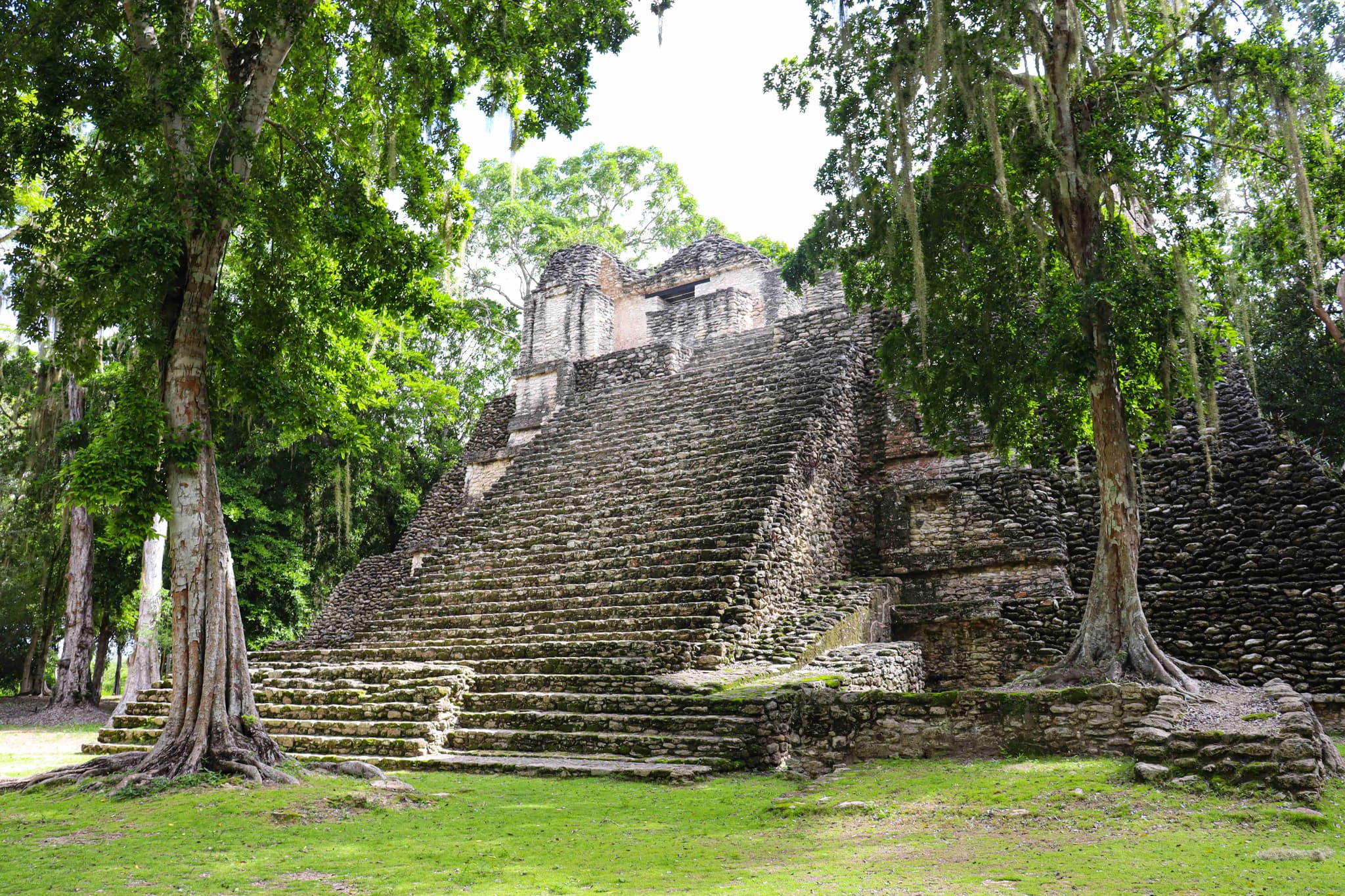 The stepped temple at Dzibanché among trees with aerial roots
