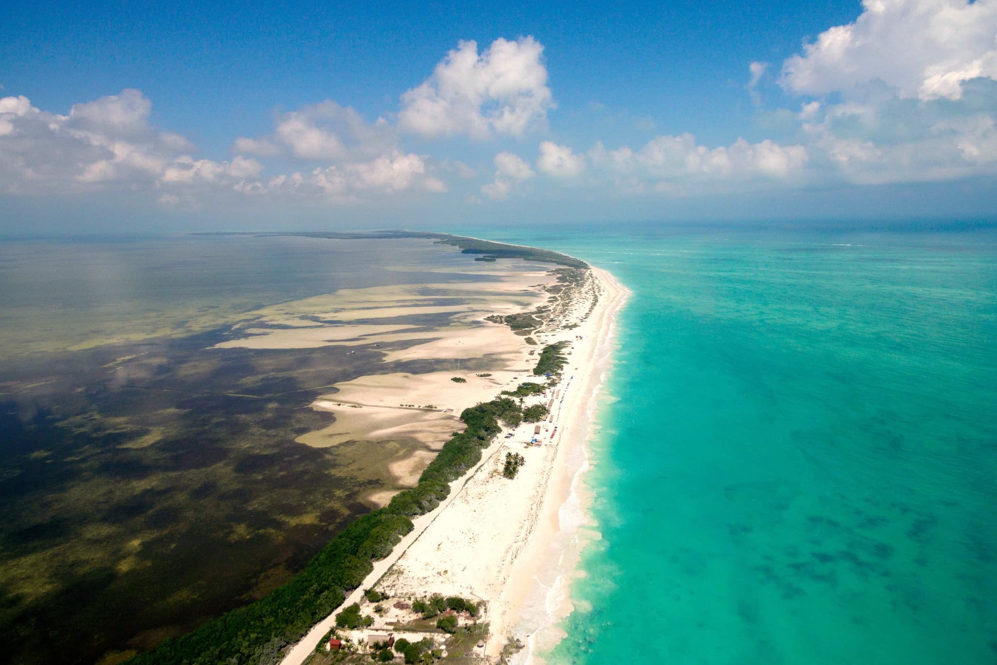 Aerial view of the coast and mangroves of Costa Mujeres