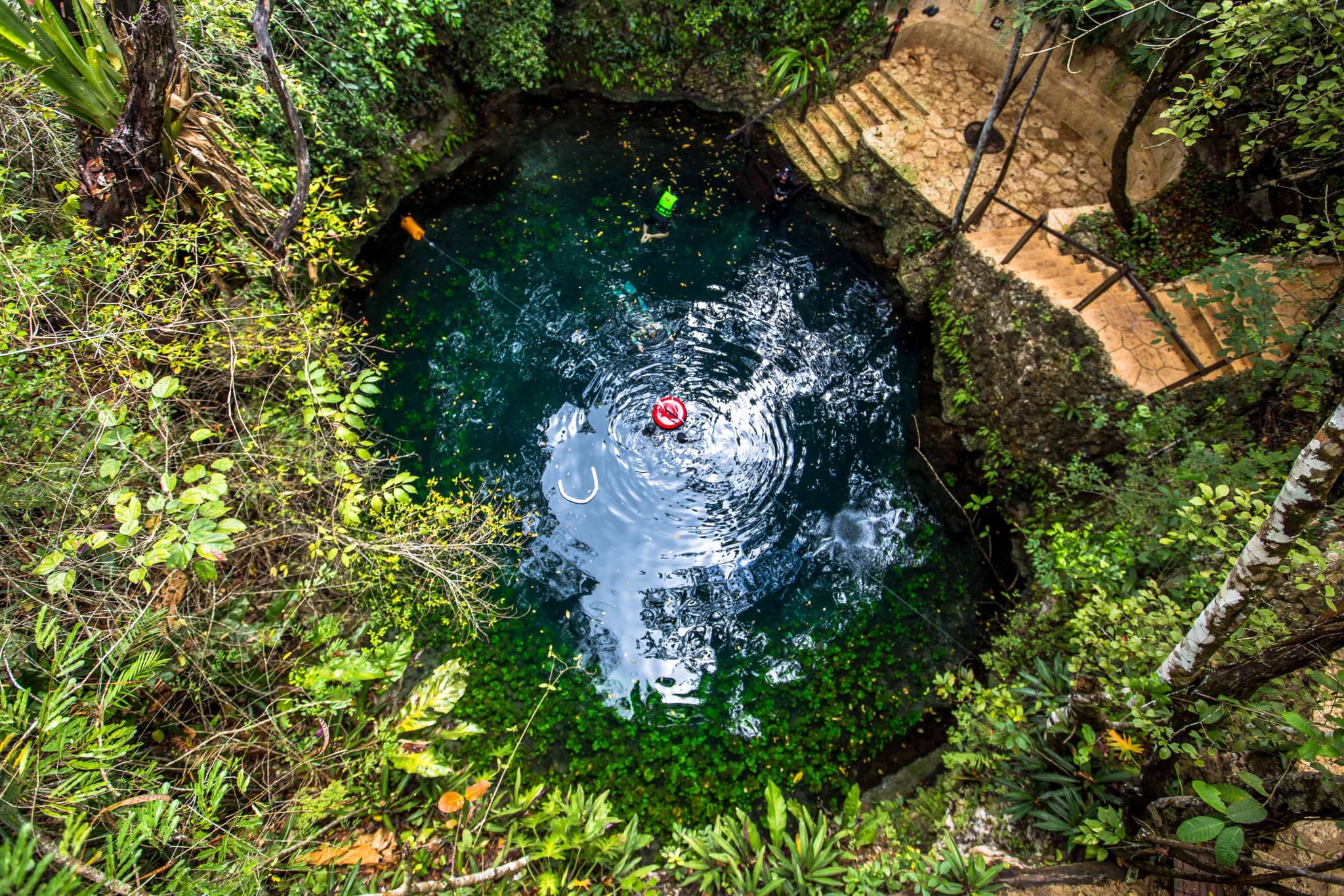 Open cenote surrounded by jungle on the Cenotes Route