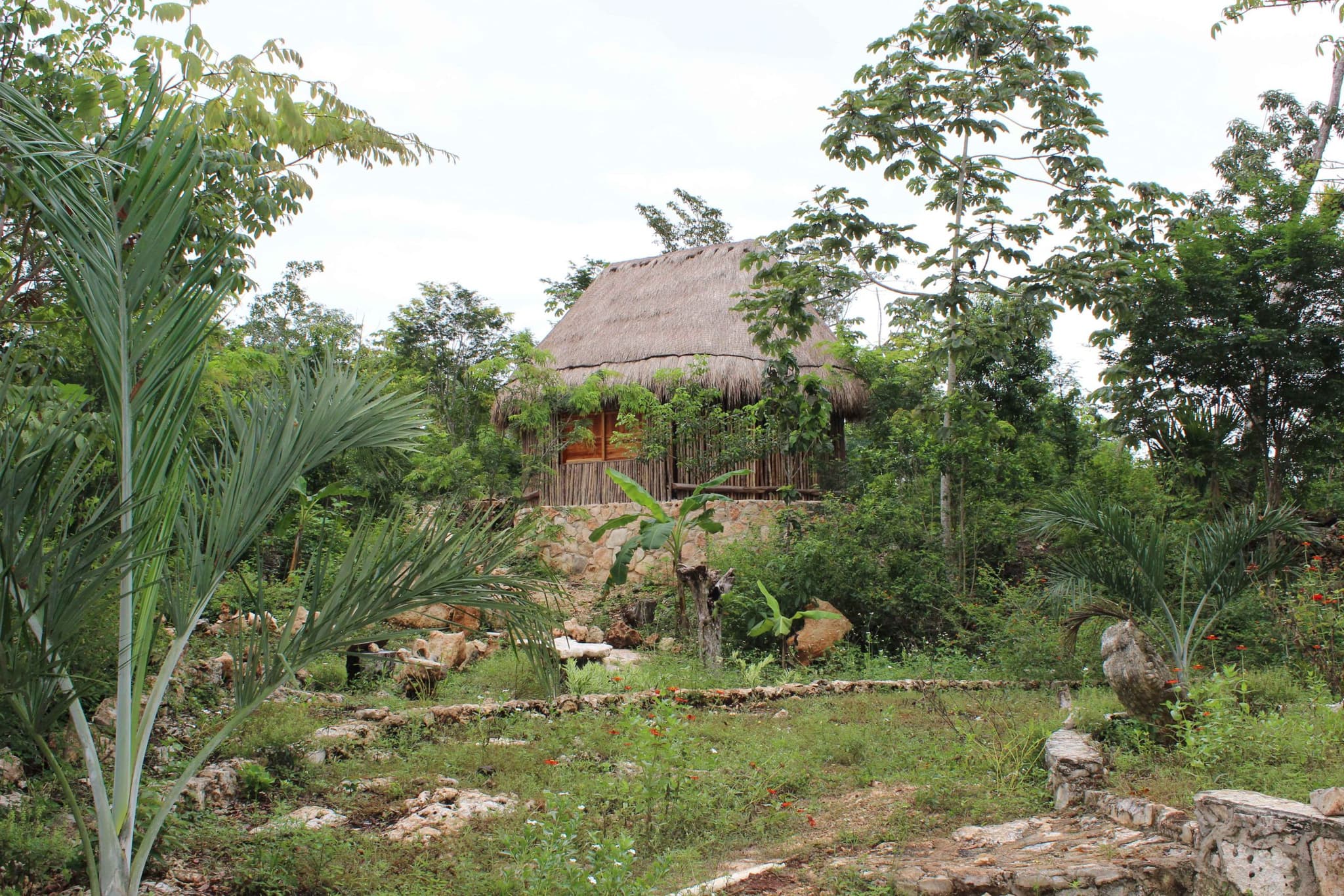 Wooden cabin in the jungle in Maya Ka'an