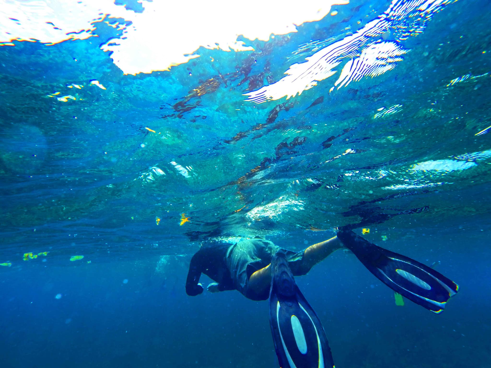 A snorkeller over a reef in clear water