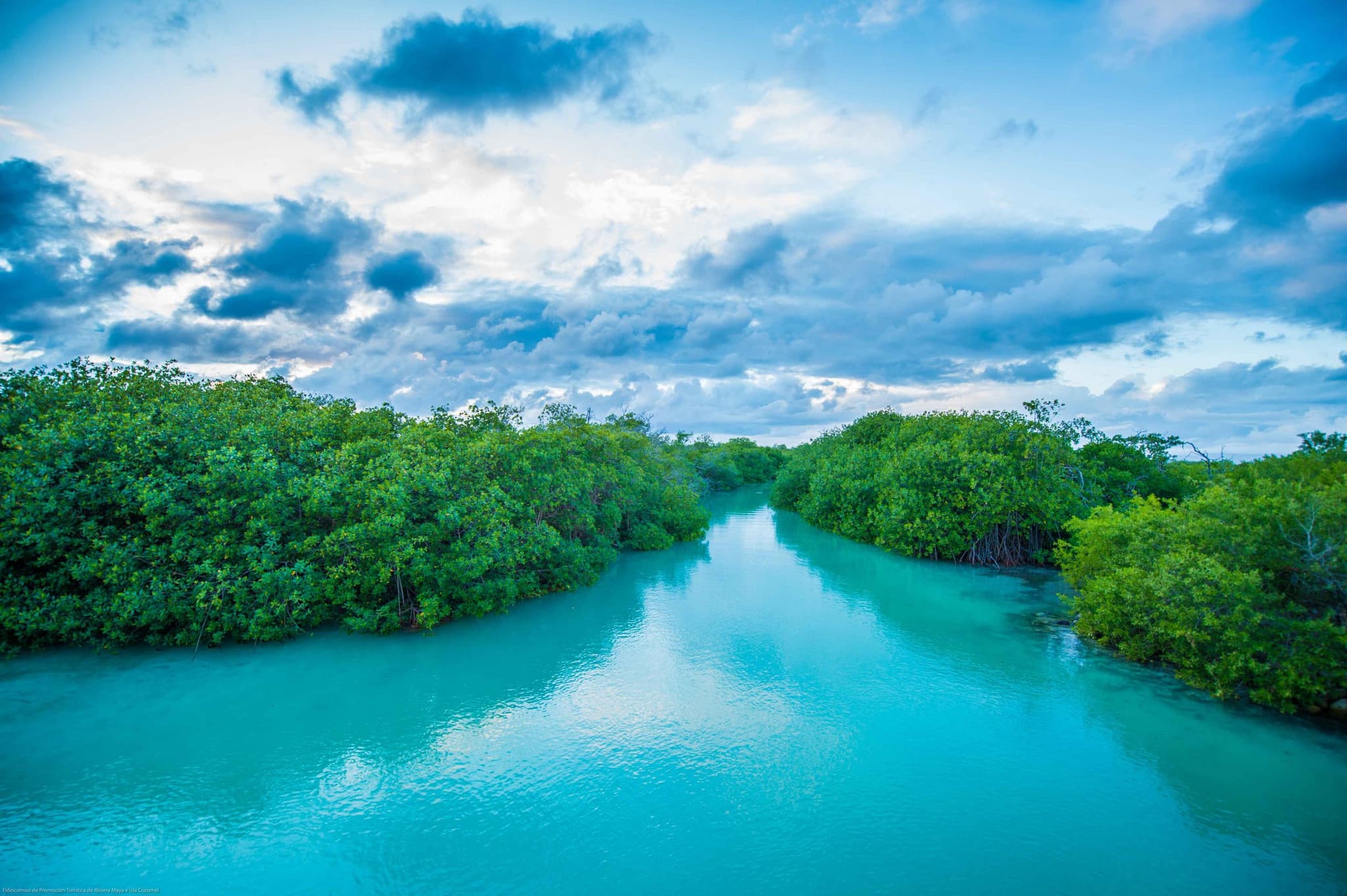 Turquoise water canal between mangroves in Sian Ka'an