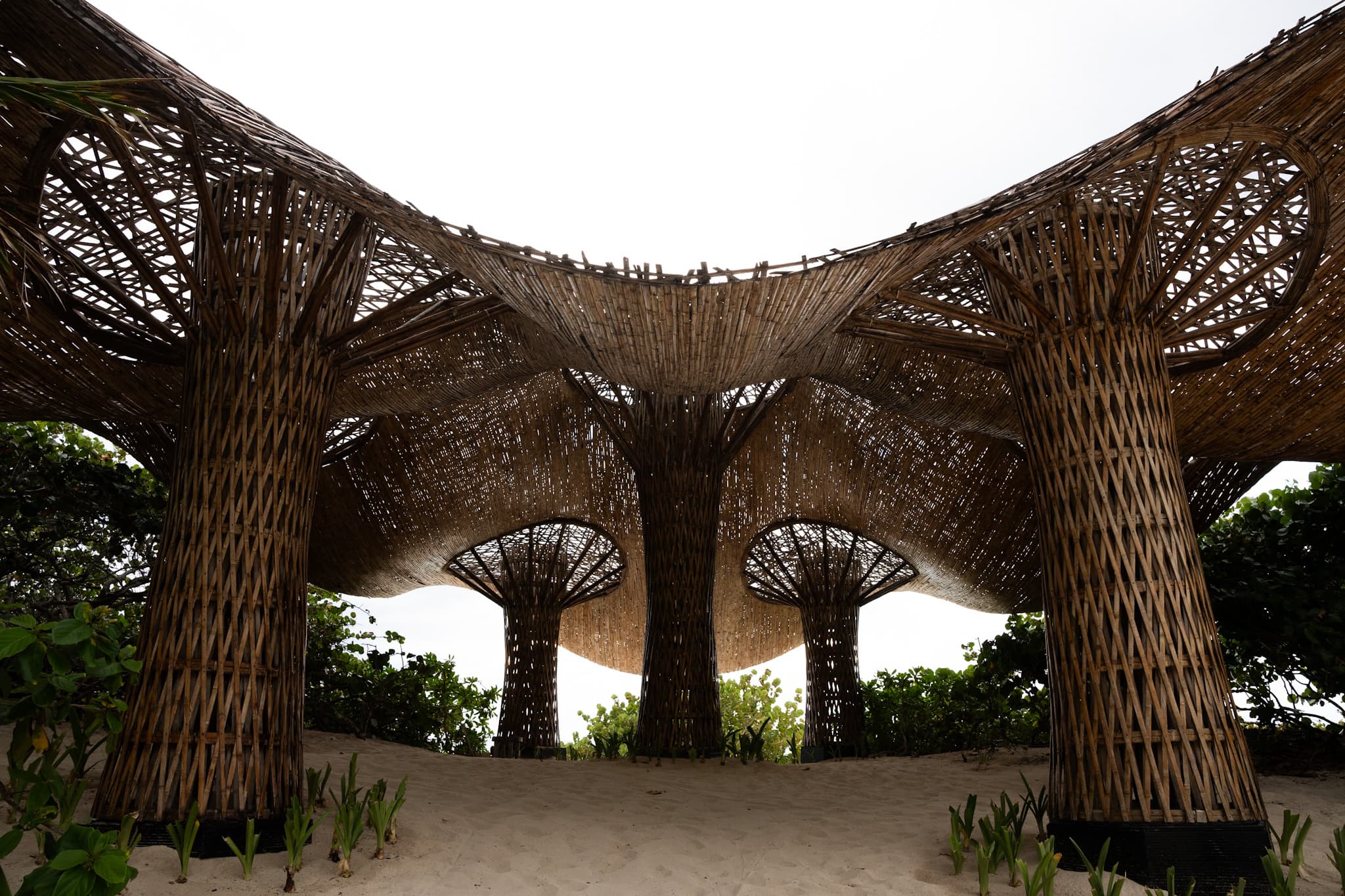 Woven architecture palapa on the sand