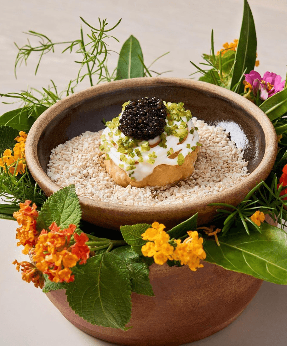 Gourmet Dining in the Riviera Maya