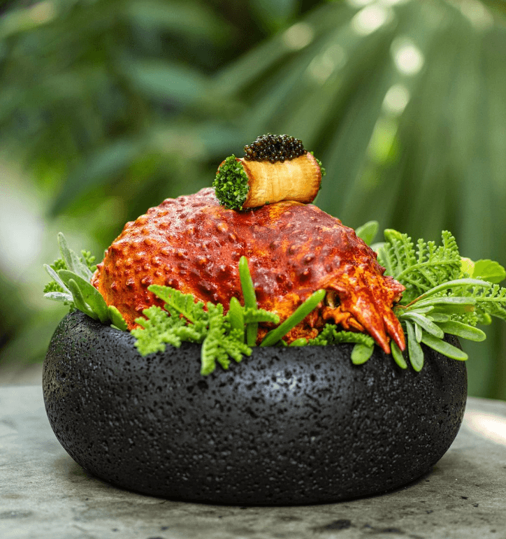 Culinary Festivals in the Riviera Maya and Grand Costa Maya