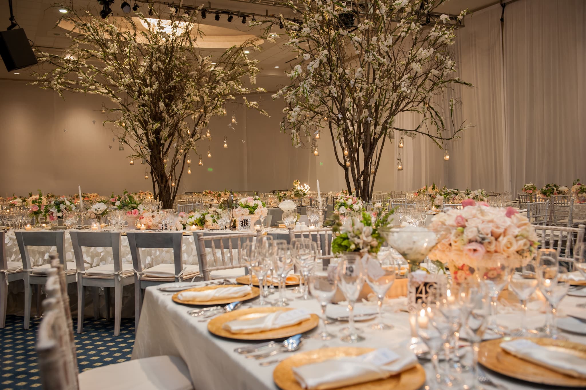 Wedding banquet with long tables, gold chargers and blossom trees hung with candles