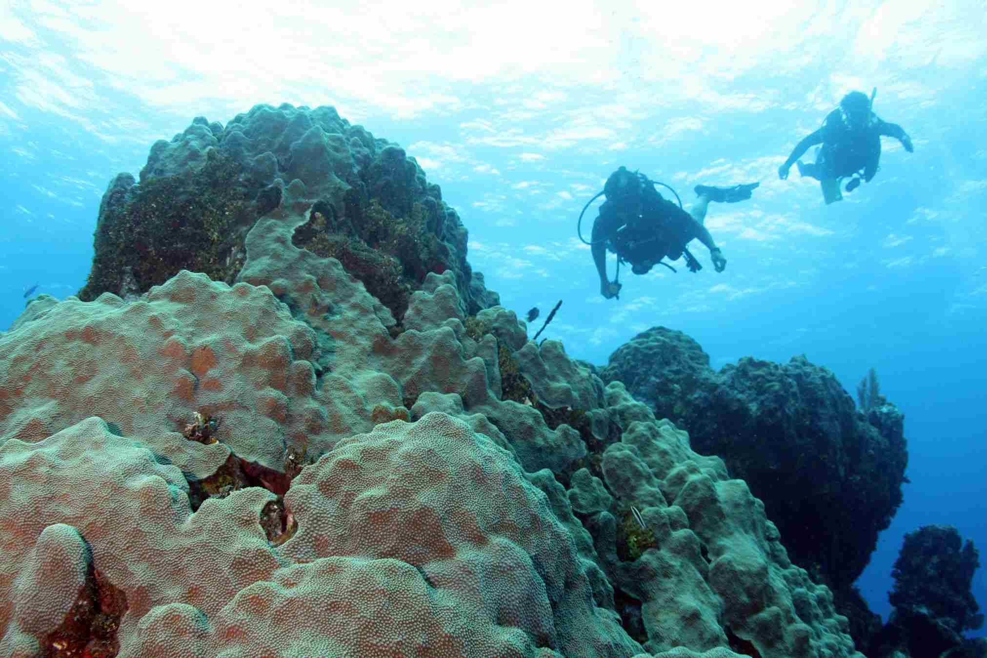 Divers over a coral reef off the Chetumal coast